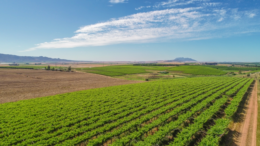 0 Bedroom Property for Sale in Wellington Rural Western Cape